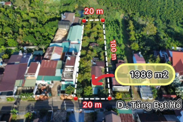 Bán Đất Mặt Tiền Tăng Bạt Hổ P1 Bảo Lộc – 20×100m, Có 186m² Thổ Cư, Giá 12 Tỷ