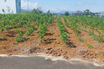 Bán Nhanh Lô Đất Hẻm Nguyễn Trãi, P.2 Bảo Lộc – Giá 1,35 Tỷ 