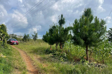 Mua Đất Bảo Lộc Lâm Đồng – Lộc An, Giá 2,8 Tỷ/1 Lô