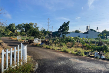 Mua Đất Nền Bảo Lộc Lâm Đồng – Nền Biệt Thự Lộc Sơn, Giá Tốt