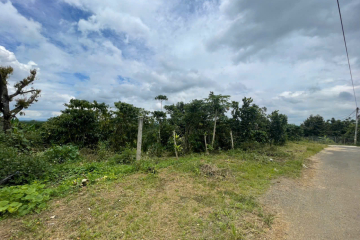 Mua đất ở Bảo Lộc – Giá 3,8 Tỷ