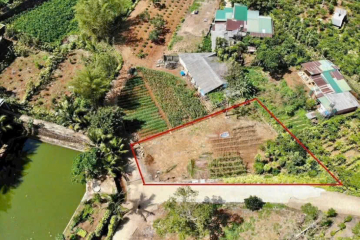 Mua đất ở Bảo Lộc - Lộc Tiến, Giá 1,3 Tỷ