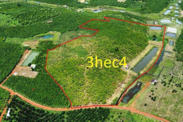 Mua đất đồi Bảo Lộc – Bán 2 Sào Cafe, Giá 1,4 Tỷ