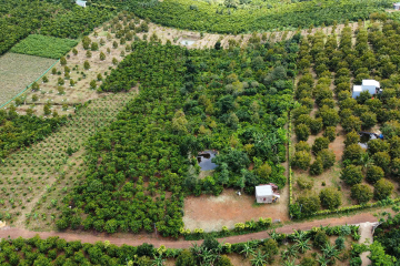 mua đất đồi bảo lộc – bán 8.000m² tứ quý lộc an