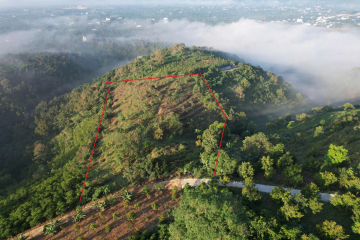 Mua đất nhà vườn Bảo Lộc - giá 520 triệu/sào