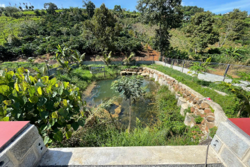 Mua đất nhà vườn Bảo Lộc – nhà vườn phường 2 hẻm lý thái tổ có sẵn thổ cư