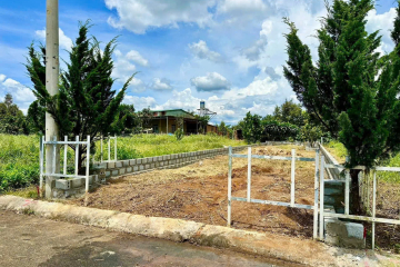 Mua đất nền Bảo Lộc giá rẻ – Lộc An, thôn 11, giáp ngã tư chợ Lộc Đức