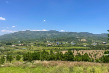 Mua đất nền giá rẻ Bảo Lộc – giá 7,5 tỷ