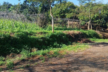 Mua đất nền giá rẻ Bảo Lộc – đất Thôn 16 Lộc Thành, Bảo Lâm – giá từ 530 triệu