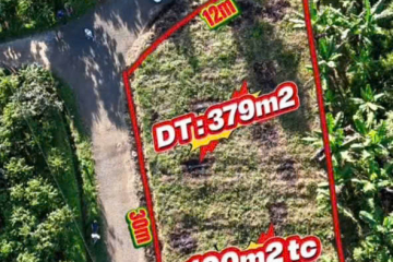 Mua đất nền giá rẻ Bảo Lộc – giá ngộp 870 triệu