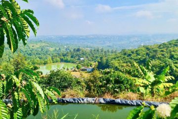 Mua đất nền giá rẻ Bảo Lộc – Bảo Lâm view đẹp