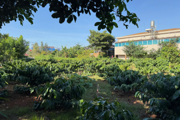 Mua đất nền giá tốt Bảo Lộc – lô đất suối hẻm Lý Thường Kiệt, Lộc Quảng, Bảo Lâm giá 2 tỷ