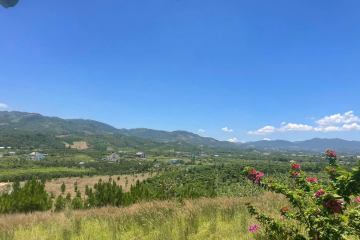 Mua đất thổ cư Bảo Lộc – khu đất 7.000m² Lộc Châu (nay Phường 3), ôm trọn đồi, view núi, giá 7,5 tỷ