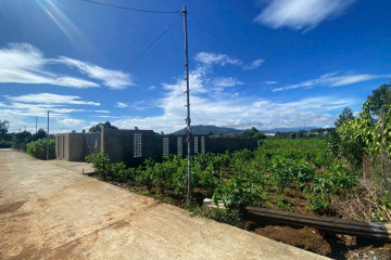 Mua đất thổ cư Bảo Lộc giá rẻ từ 3xx triệu có thật?