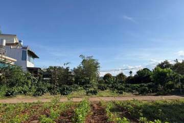 Mua đất thổ cư Bảo Lộc giá rẻ – Thổ cư 100%