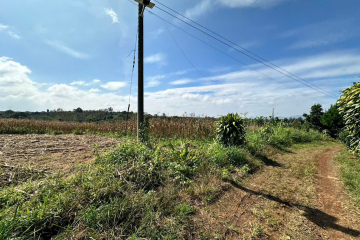 Mua đất thổ cư Bảo Lộc giá rẻ – Hồ sơ pháp lý sạch