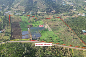 đất sẵn thổ cư giá rẻ bảo lộc – quỹ đất lớn 7,23ha mặt tiền nhựa liên xã