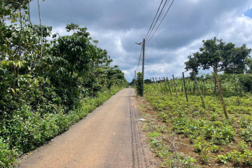 Mua đất thổ cư Bảo Lộc giá rẻ – giá 380 triệu