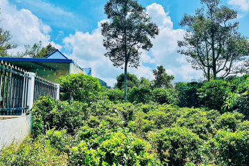 đất sẵn thổ cư giá rẻ bảo lộc – mặt tiền hẻm 172 lê phụng hiểu