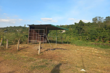 Đất nền Bảo Lộc sẵn thổ cư – Hẻm 91 Trần Nhật Duật, giá đầu tư