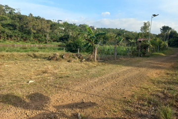 Mua đất vườn Bảo Lộc – Hẻm 91 Trần Nhật Duật, tài chính thấp, giá đầu tư