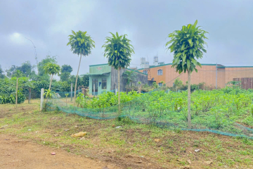 Mua đất thổ cư ngay trung tâm Bảo Lộc – Hẻm Lê Phụng Hiểu, Phường 3