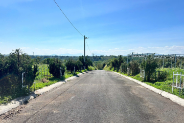 Mua đất thổ cư ngay trung tâm Bảo Lộc – Đường nhựa lớn Lộc An