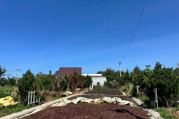 Mua đất nền giá rẻ Bảo Lộc – lô đẹp đường nhựa lớn Lộc An