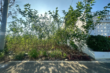 Mua đất nền giá rẻ Bảo Lộc – Cối Xay Gió Lộc An