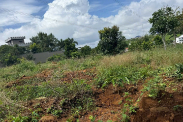 Đất vườn giá rẻ Bảo Lộc – 1,5 sào chỉ 1,6 tỷ, hẻm 75 Trần Tế Xương P2