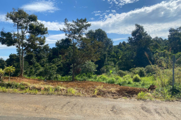 Mua đất giá rẻ tại Bảo Lộc – Mặt tiền Chi Lăng, Lộc Thành giáp Lộc Sơn