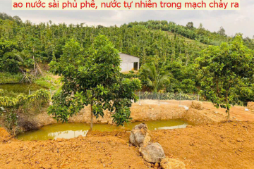 Mua đất giá rẻ tại Bảo Lộc – 1 sào 5 Chi Lăng Lộc Thành, 2 mặt tiền cực thoáng