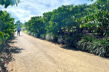 Đất Bảo Lộc dưới 1 tỷ giá rẻ – hẻm 480 Phan Đình Phùng, Lộc Tiến