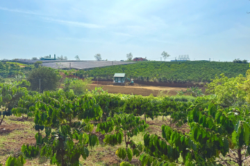 Đất Bảo Lộc dưới 1 tỷ giá rẻ – hẻm 43 Lạc Long Quân, Lộc Thắng (Bảo Lâm 1)