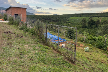 Đất trung tâm Bảo Lộc dưới 1 tỷ – Lô đất nhà vườn hẻm Phùng Hưng, Lộc Tiến, có suối