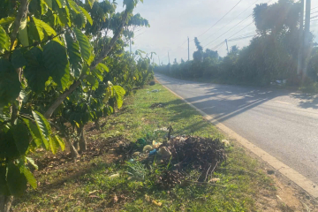 Đất trung tâm Bảo Lộc dưới 1 tỷ – Mặt tiền Đoàn Thị Điểm Phường 1, quỹ đất lớn hiếm