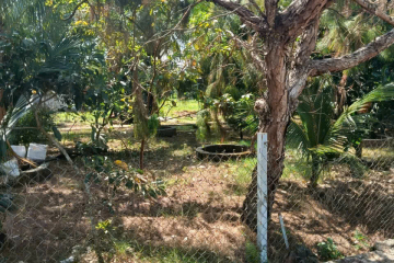 Bán đất nền sẵn thổ cư ở Bảo Lộc – Lô 10x50 Lộc Châu, gần đường tránh