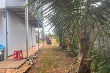 Đất nền giá rẻ tại Bảo Lộc – 1 sào 3, sẵn 200m² thổ cư, Đoàn Thị Điểm P1