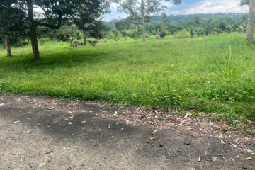 Đất nền giá rẻ tại Bảo Lộc – Hơn 1 sào hẻm Chi Lăng, khu nghỉ dưỡng trung tâm