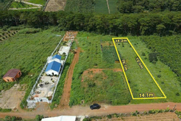 Đất nền sẵn thổ cư tại Bảo Lộc – Lô đất nghỉ dưỡng P2 (Đambri cũ), giáp rừng thông