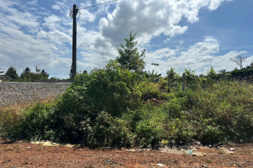 Đất nền sẵn thổ cư tại Bảo Lộc – Mặt tiền Phan Đình Phùng, P3, giá ngộp