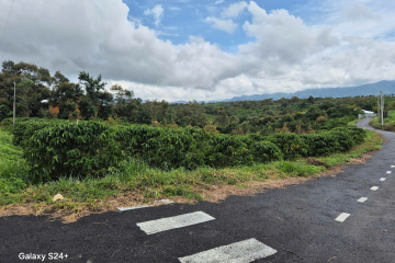 Bán đất giá rẻ 1 tỷ trung tâm Bảo Lộc – Hẻm 73 Hoài Thanh, Lam Sơn,