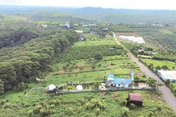 Bán đất giá rẻ 1 tỷ trung tâm Bảo Lộc – Đất nghỉ dưỡng phường 2 giáp rừng thông