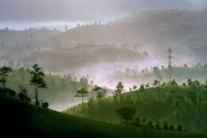 Du lịch Bảo Lộc tự túc - Gợi ý hành trình 2 ngày 1 đêm cực chill 