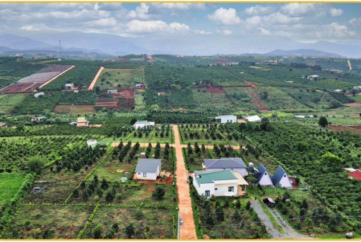 Cách xử lý đất thóp hậu – biến “đầu voi đuôi chuột” thành tiền!