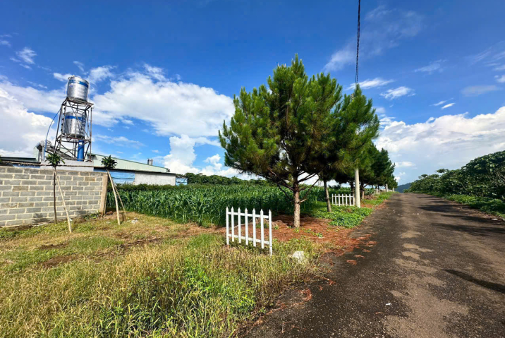 📢 CHÍNH CHỦ BÁN 4 LÔ ĐẤT ĐẸP – THÔN 9, LỘC NGÃI, BẢO LÂM 📢