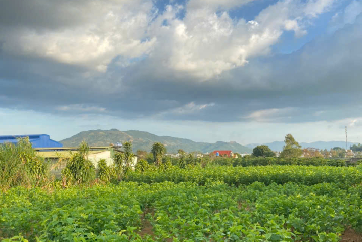 Đất hẻm 52 Lữ gia. Lộc châu .bảo Lộc 