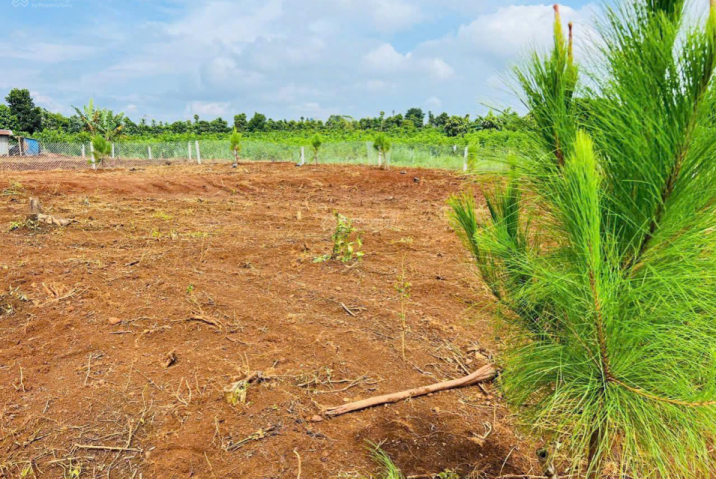 Tình hình cấp bách chủ xả lỗ 70% ra đi lô đất mặt tiền đường Âu Cơ giá 510tr