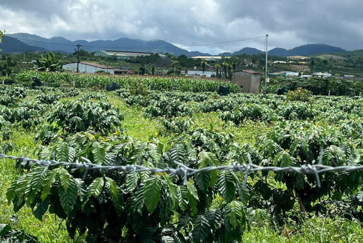 💣 CHỦ NGỘP GẤP – HẠ SÂU TỪ 1 TỶ 5 CÒN 960 TRIỆU – MUA NHANH CÒN KỊP THỞ! 💣