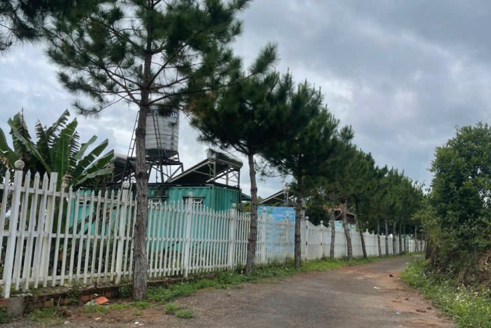 🔥 ĐẤT VIEW ĐỈNH – GIÁ TỐT GẦN HOMESTAY DAMBRI TOP VIEW 🔥